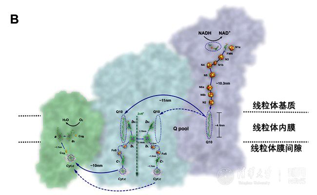 北大核心、统计源核心、CSSCI、EI、SCI期刊论文代写代发专题